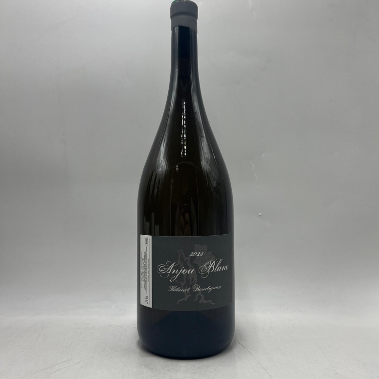 Anjou Blanc Domaine Thibaud Boudignon 2023 150cl