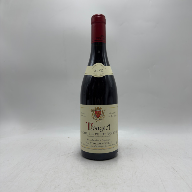 Les Petits Vougeots Domaine Hudelot-Noëllat 2022